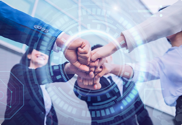 Đội ngũ nhân sự