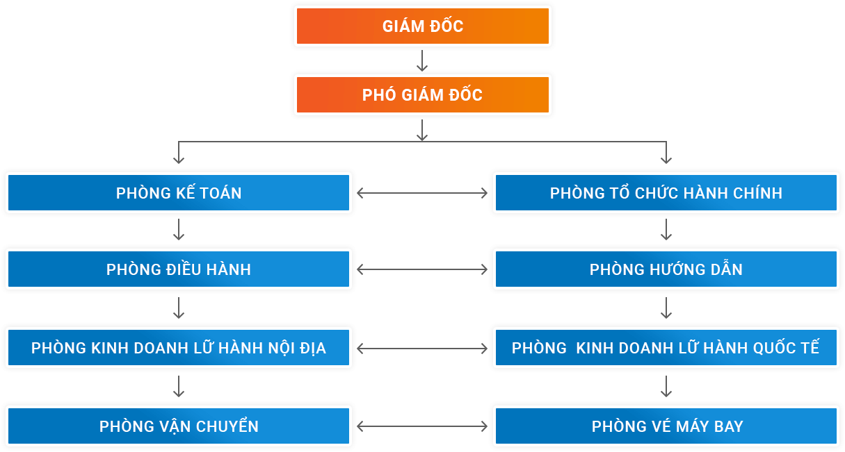 Cơ cấu tổ chức